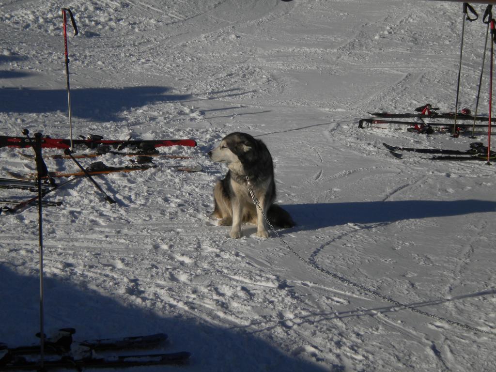 Rifugio Baita Belvedere Champoluc Buitenkant foto